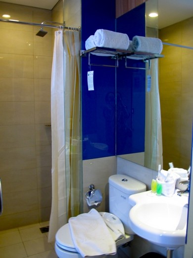 Hotel Vio Pastuer - bathroom
