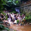 Stream running through Kampung Daun