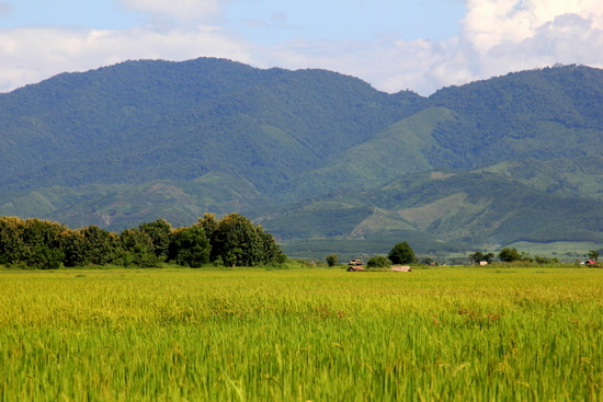 Pemandangan di Laos mirip dengan pemandangan di Indonesia