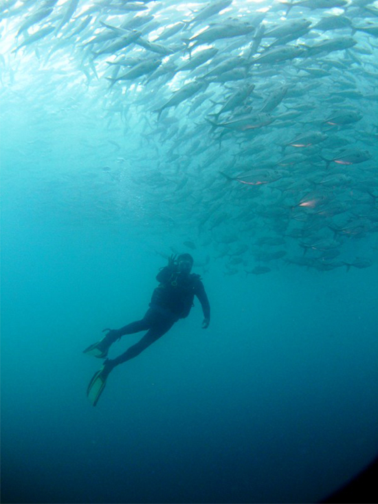 Diving Tulamben