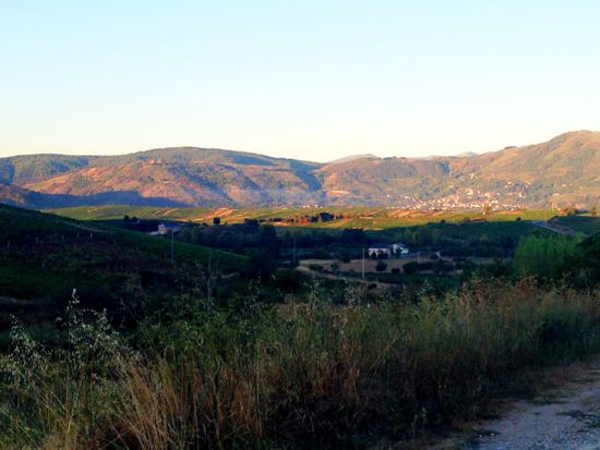 Camino between Cacabelos & Vega de Valcarce