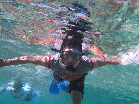Snorkeling di Pulau Menjangan Bali