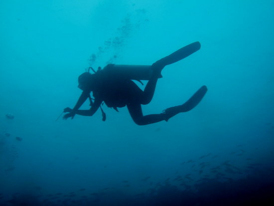 Diving di Pulau Weh