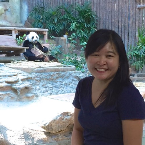 Cari Panda di Chiang Mai Zoo