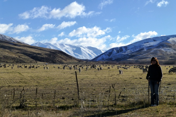 Pemandangan New Zealand yang bikin kangen