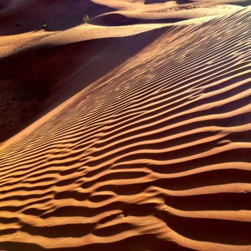 Gurun Sahara di Maroko