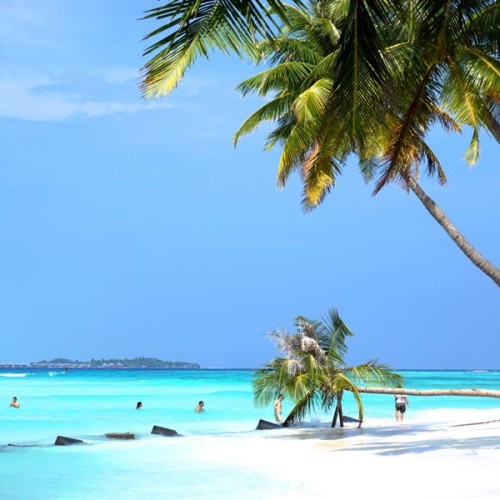 Liburan di Maldives