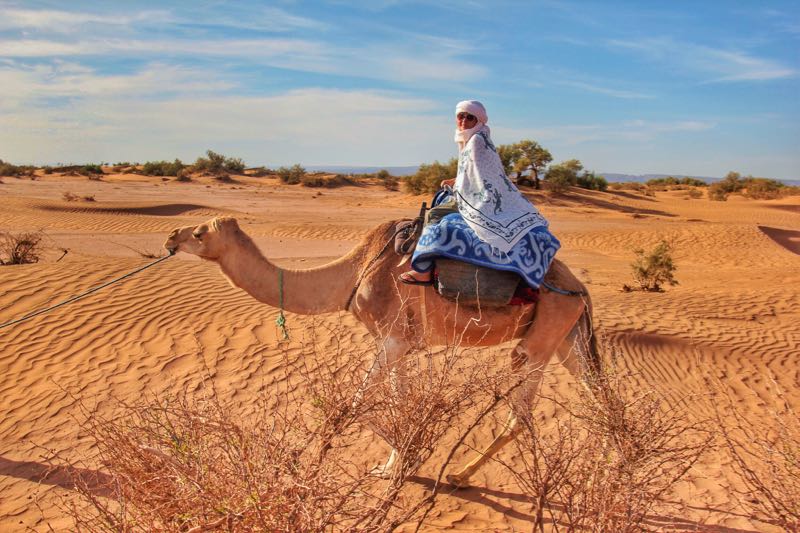 Naik unta di Gurun Sahara, Maroko