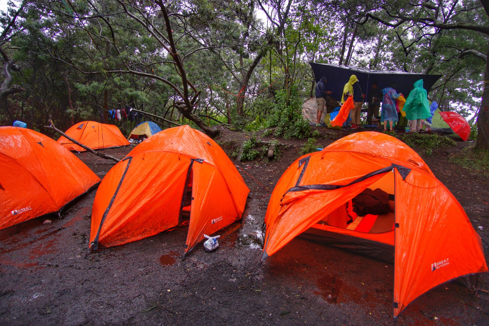 Area camping di Gunung Papandayan