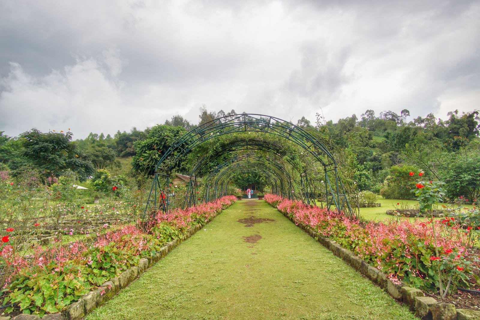 Kebun Mawar Situhapa, Garut taman