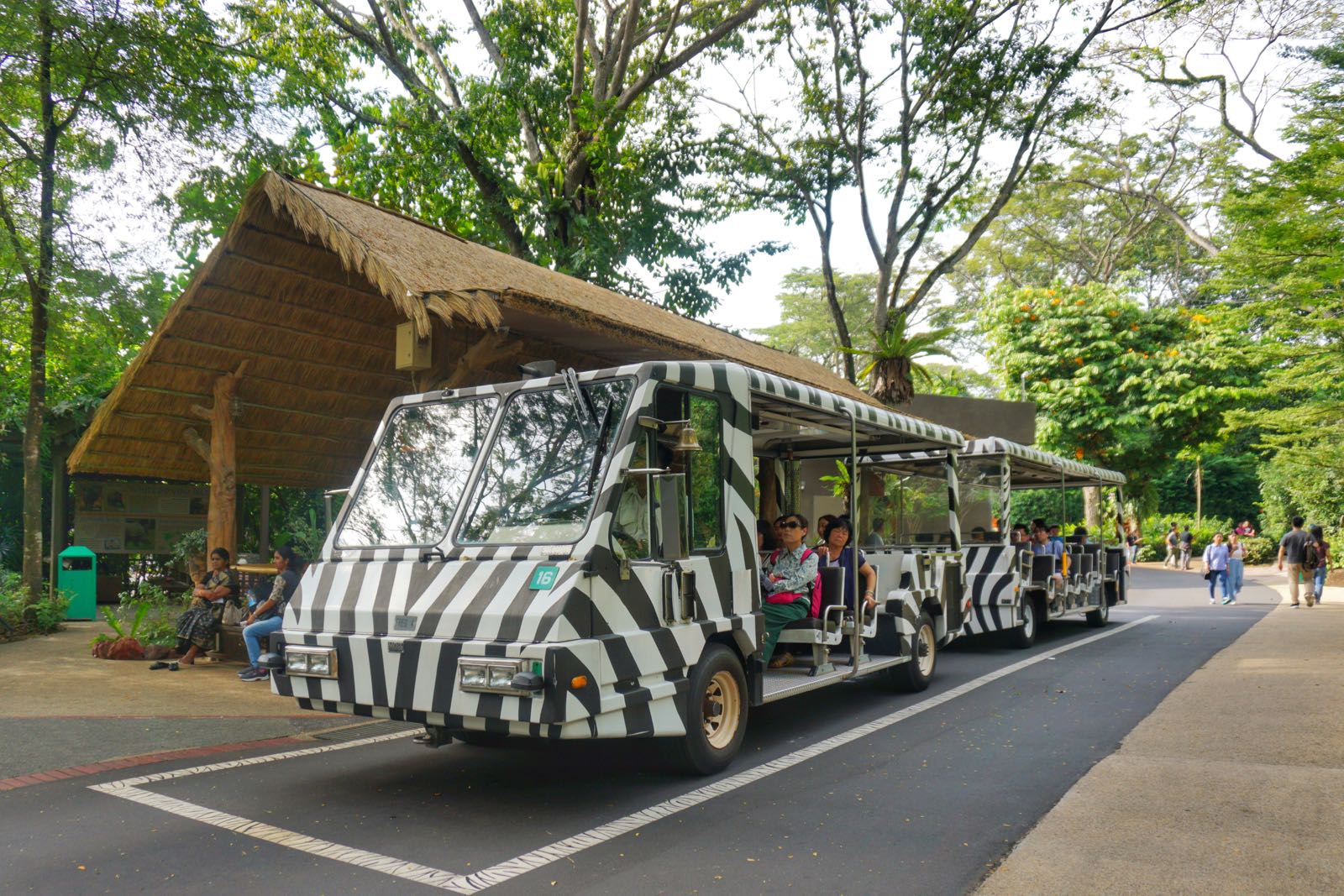 Tram Di Singapore Zoo