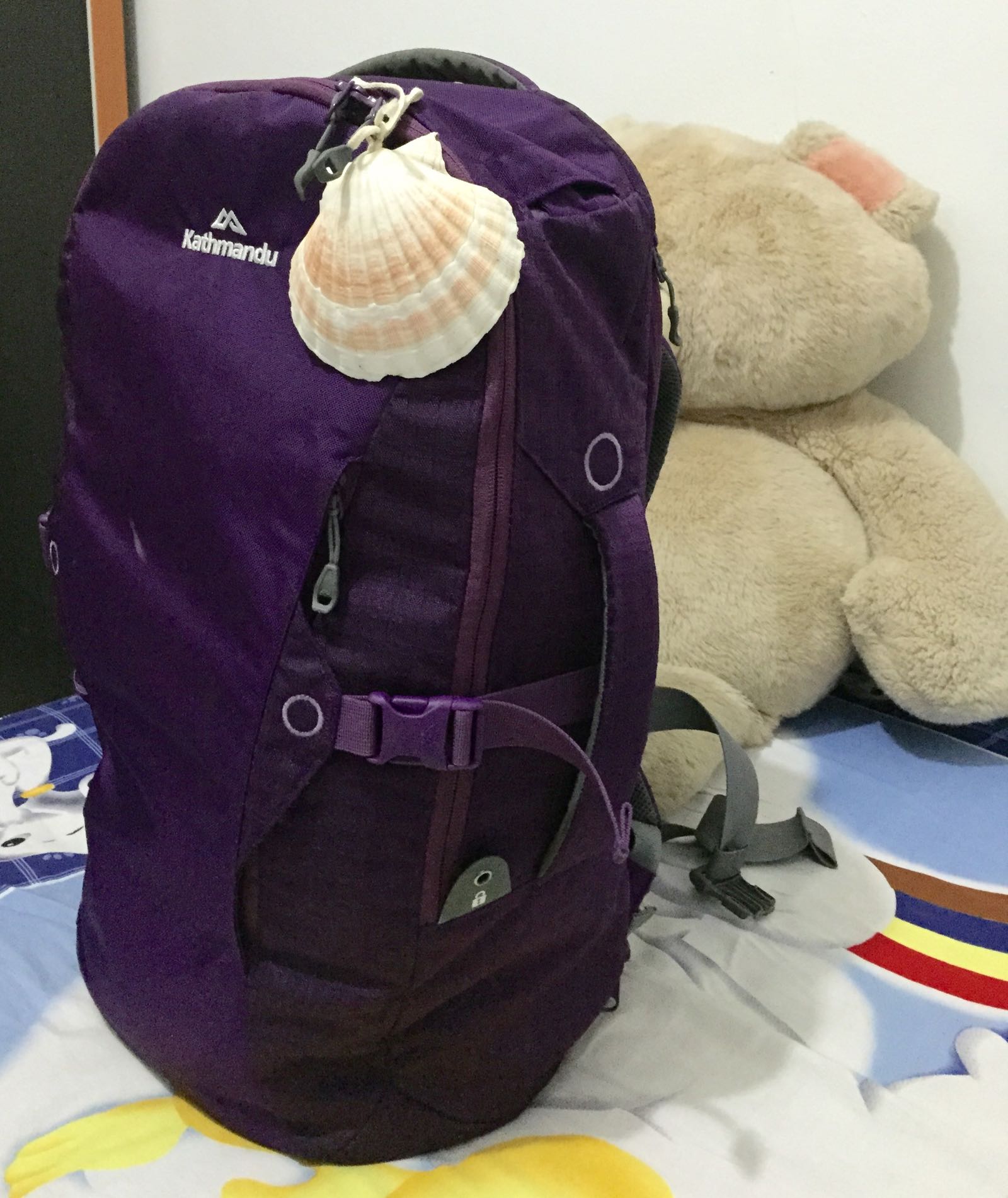 Backpack 38L