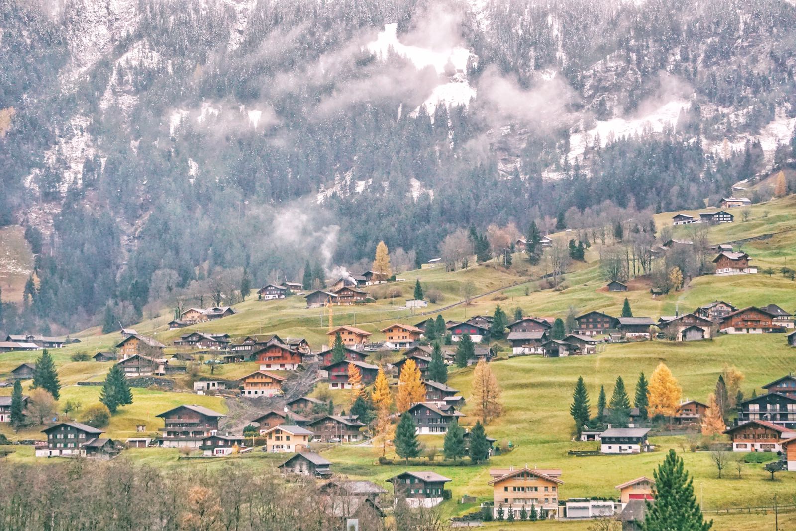 Grindelwald Swiss