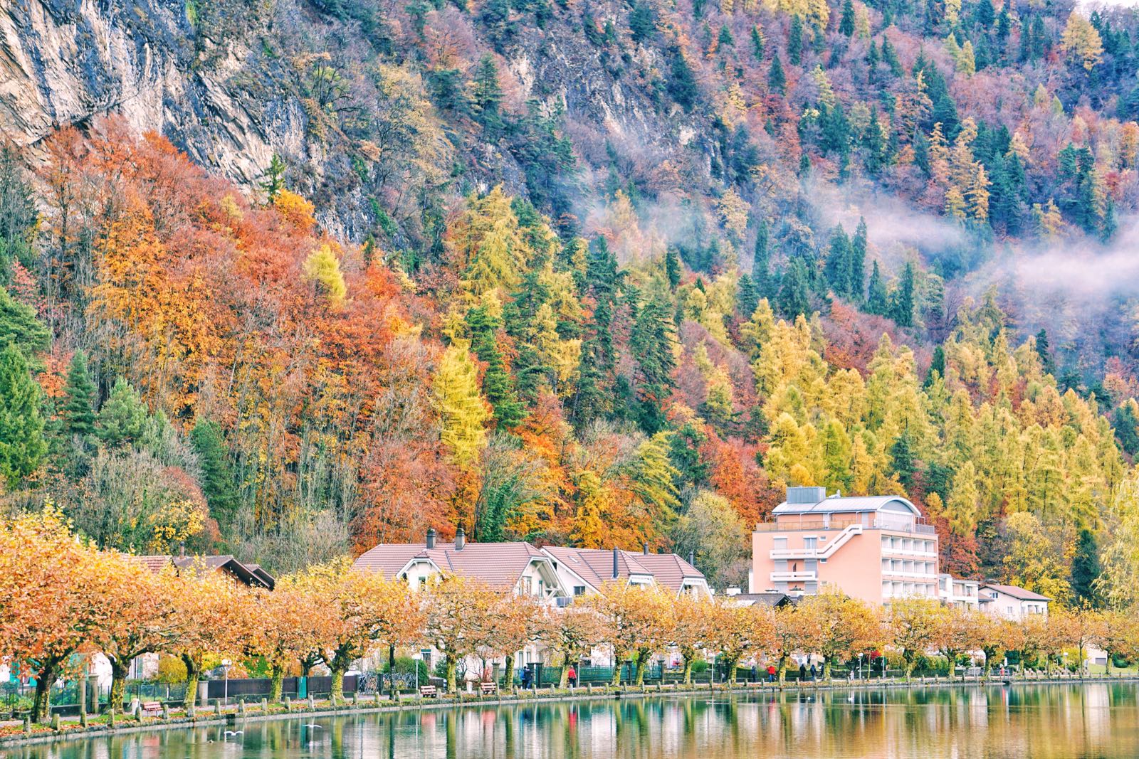 Warna Musim Gugur Swiss