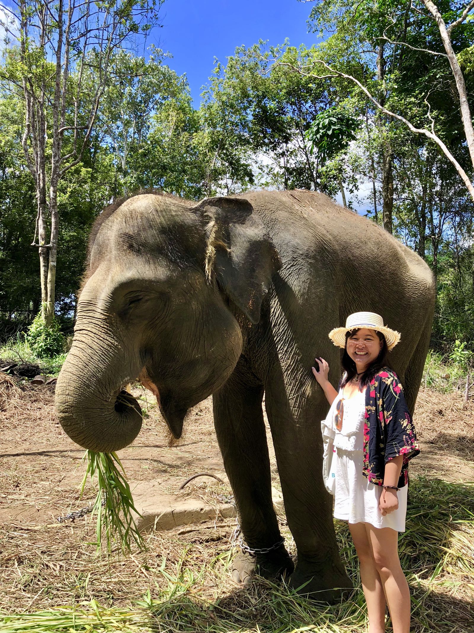 Berfoto Bersama Gajah Di Safari Lagoi