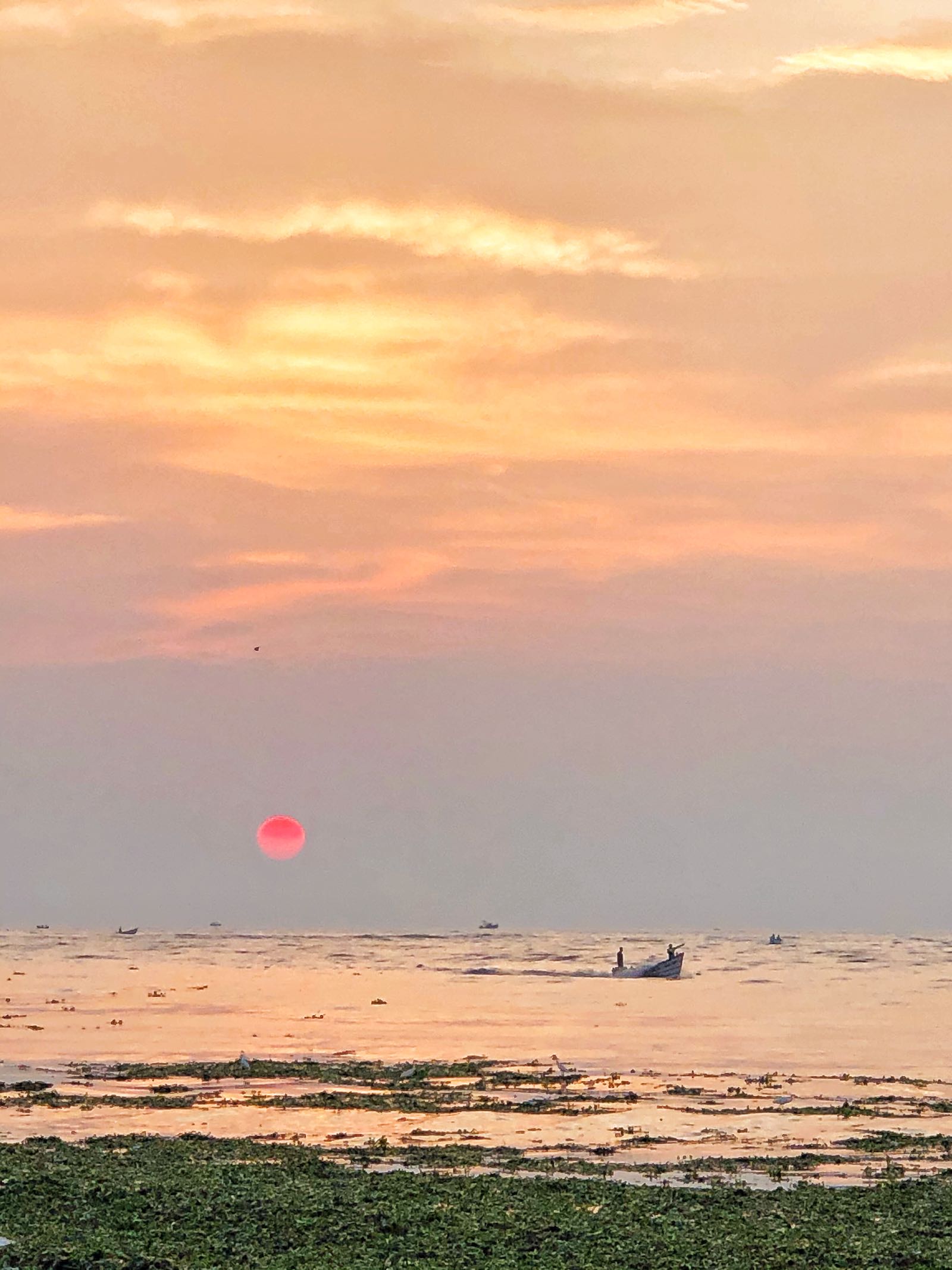 Sunset Di Fort Kochi